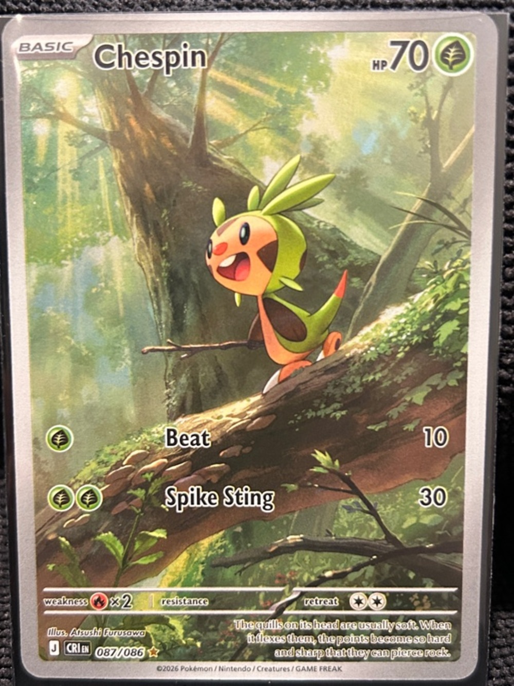 Pokemon Chespin Trading Card - Green, Brown